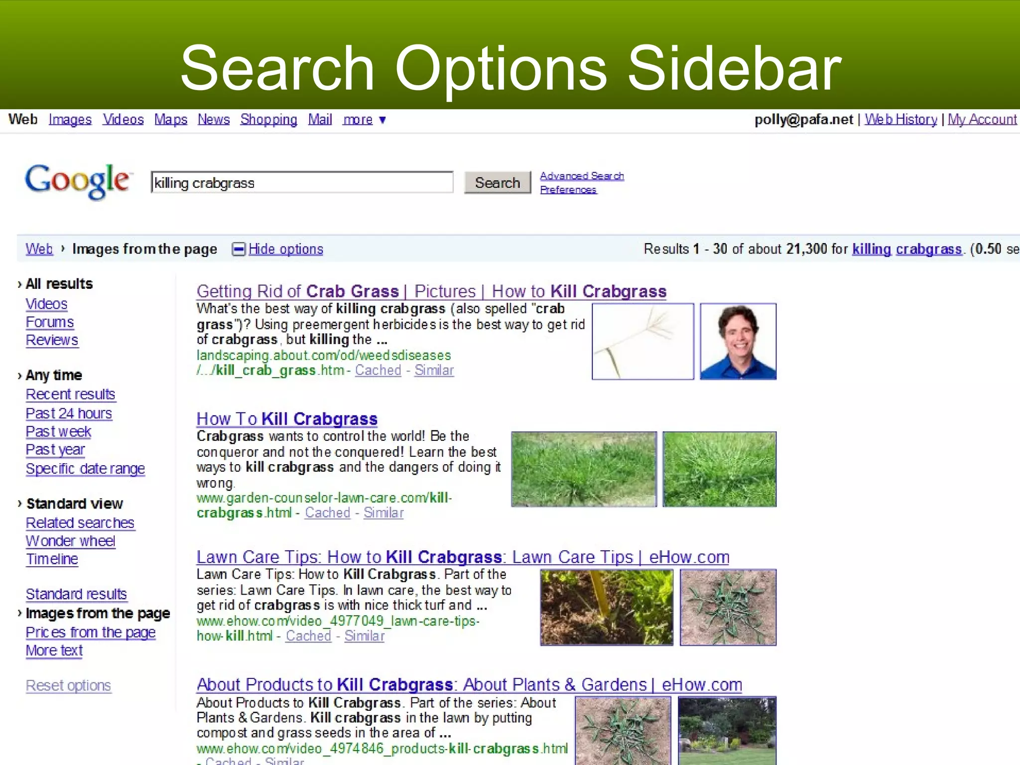 Search Options Sidebar 