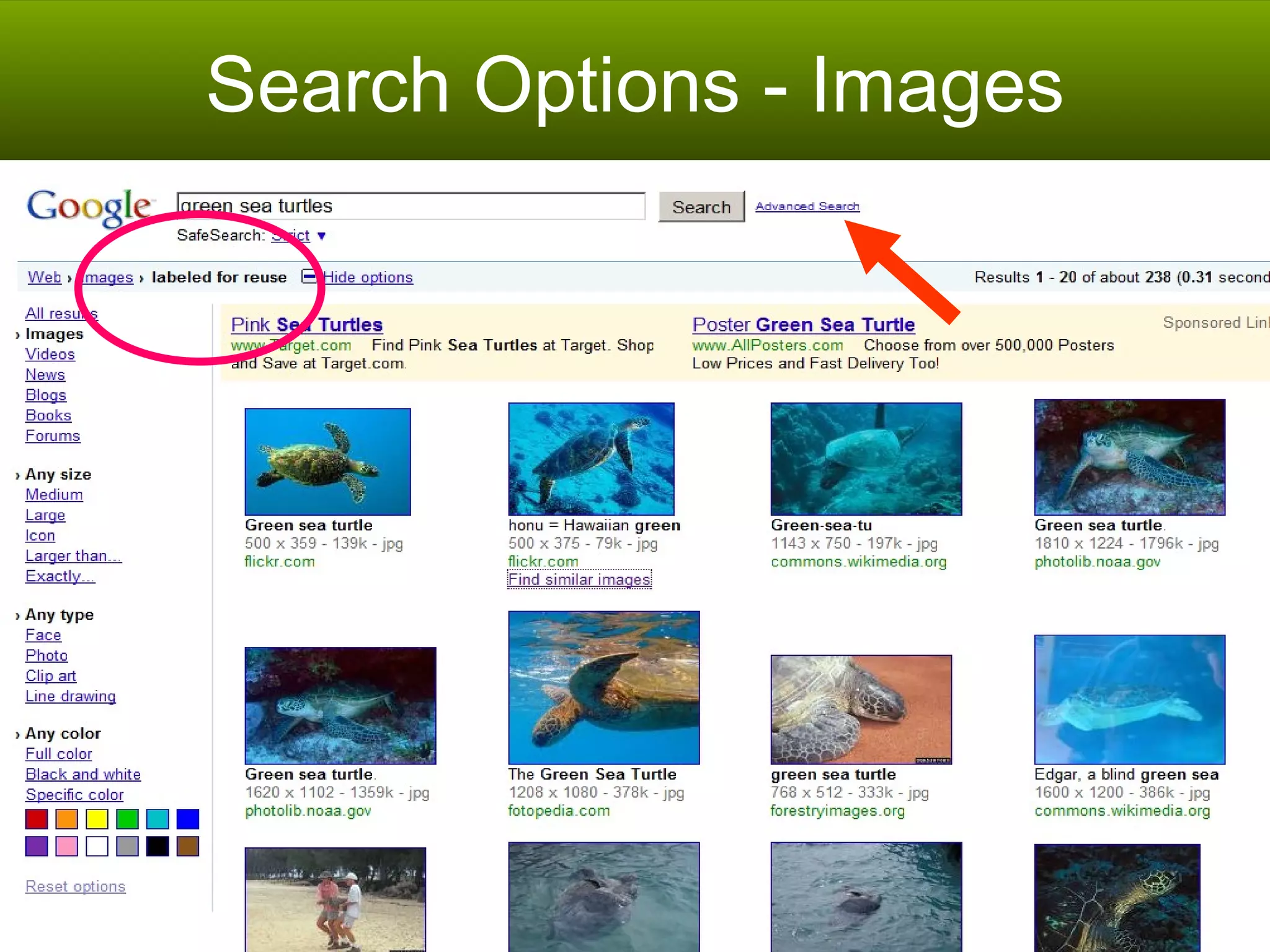 Search Options - Images 