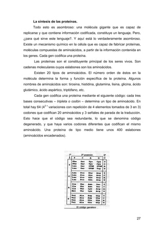 La síntesis de las proteinas. 
Todo esto es asombroso: una molécula gigante que es capaz de 
replicarse y que contiene inf...