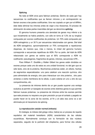 Splicing 
No todo el ADN sirve para fabricar proteínas. Dentro de cada gen hay 
secuencias no codificantes que se llaman i...