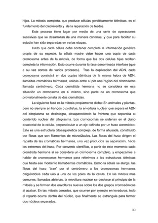 hijas. La mitosis completa, que produce células genéticamente idénticas, es el 
fundamento del crecimiento y de la reparac...
