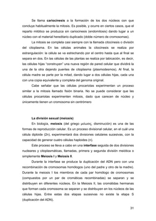 Se llama cariocinesis a la formación de los dos núcleos con que 
concluye habitualmente la mitosis. Es posible, y ocurre e...