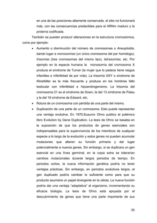en una de las posiciones altamente conservada, el sitio no funcionará 
más, con las consecuencias predecibles para el ARNm...