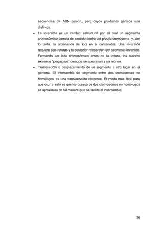 secuencias de ADN común, pero cuyos productos génicos son 
distintos. 
• La inversión es un cambio estructural por el cual...