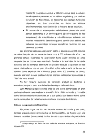 realizar la respiración aerobia y obtener energía para la célula9, 
los cloropalstos presentes en las células vegetales y ...