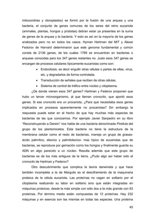 mitocondrias y cloroplastos) se formó por la fusión de una arquea y una 
bacteria, el conjunto de genes comunes de los ser...