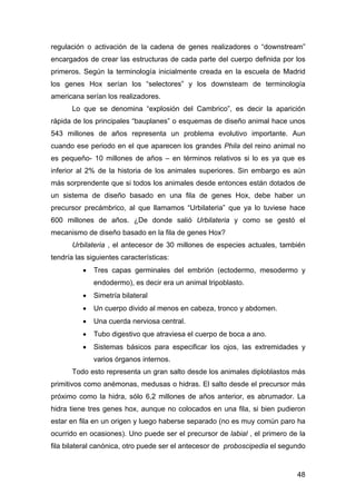 regulación o activación de la cadena de genes realizadores o “downstream” 
encargados de crear las estructuras de cada par...