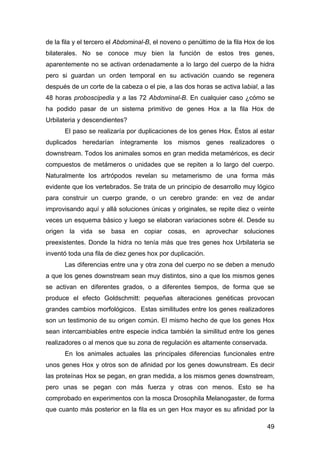 de la fila y el tercero el Abdominal-B, el noveno o penúltimo de la fila Hox de los 
bilaterales. No se conoce muy bien la...