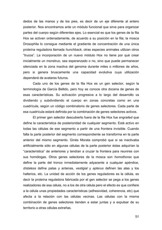 dedos de las manos y de los pies, es decir de un eje diferente al antero 
posterior. Nos encontramos ante un módulo funcio...