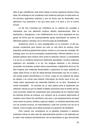 ellos el gen ultrabithorax está activo desde el primer segmento torácico hacia 
atrás. Sin embargo en los crustáceos más m...