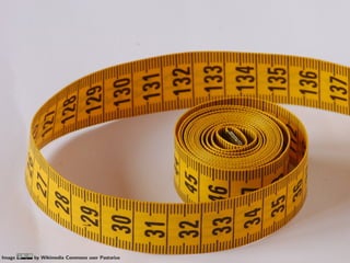 Image   by Wikimedia Commons user Pastorius
 