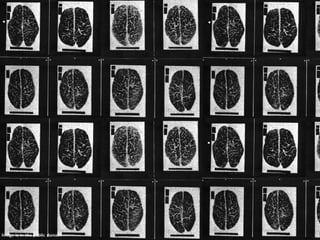 Image is in the public domain
 