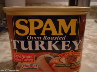 Image   by Bernd Ahlers
 