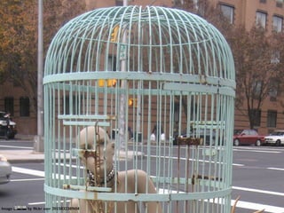 Image   by ﬂickr user 20158323@N04
 