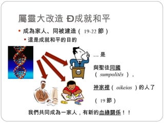 屬靈大改造 – 成就和平 成為家人、同被建造（ 19-22 節） 這是成就和平的目的 … 是 與聖徒 同國 （ sumpolitēs ）， 神家裡 （ oikeios ） 的人了 （ 19 節） 我們共同成為一家人，有新的 血緣關係 ！！ 