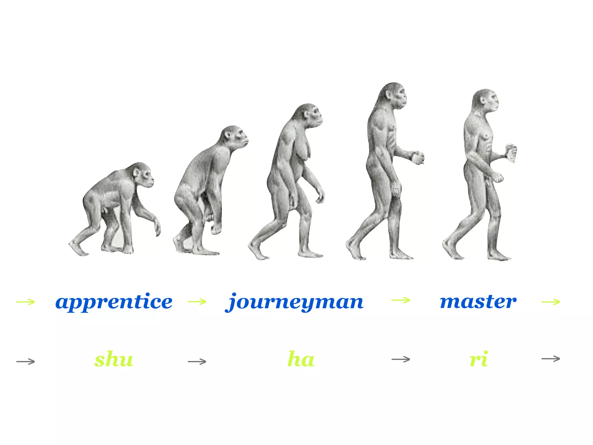→ apprentice →   journeyman   →   master   →

→    shu    →        ha       →     ri     →
 