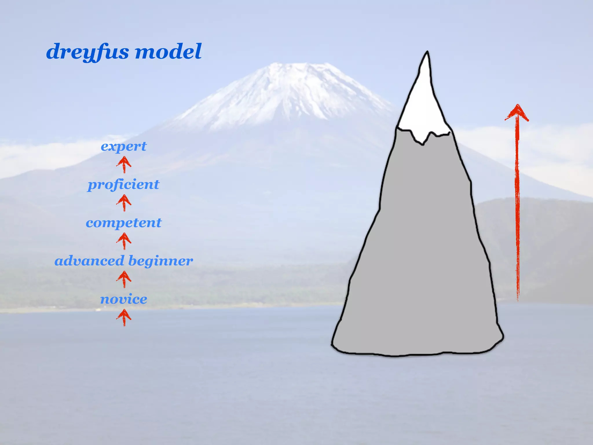 dreyfus model



     expert

    proficient

   competent

advanced beginner

     novice
 