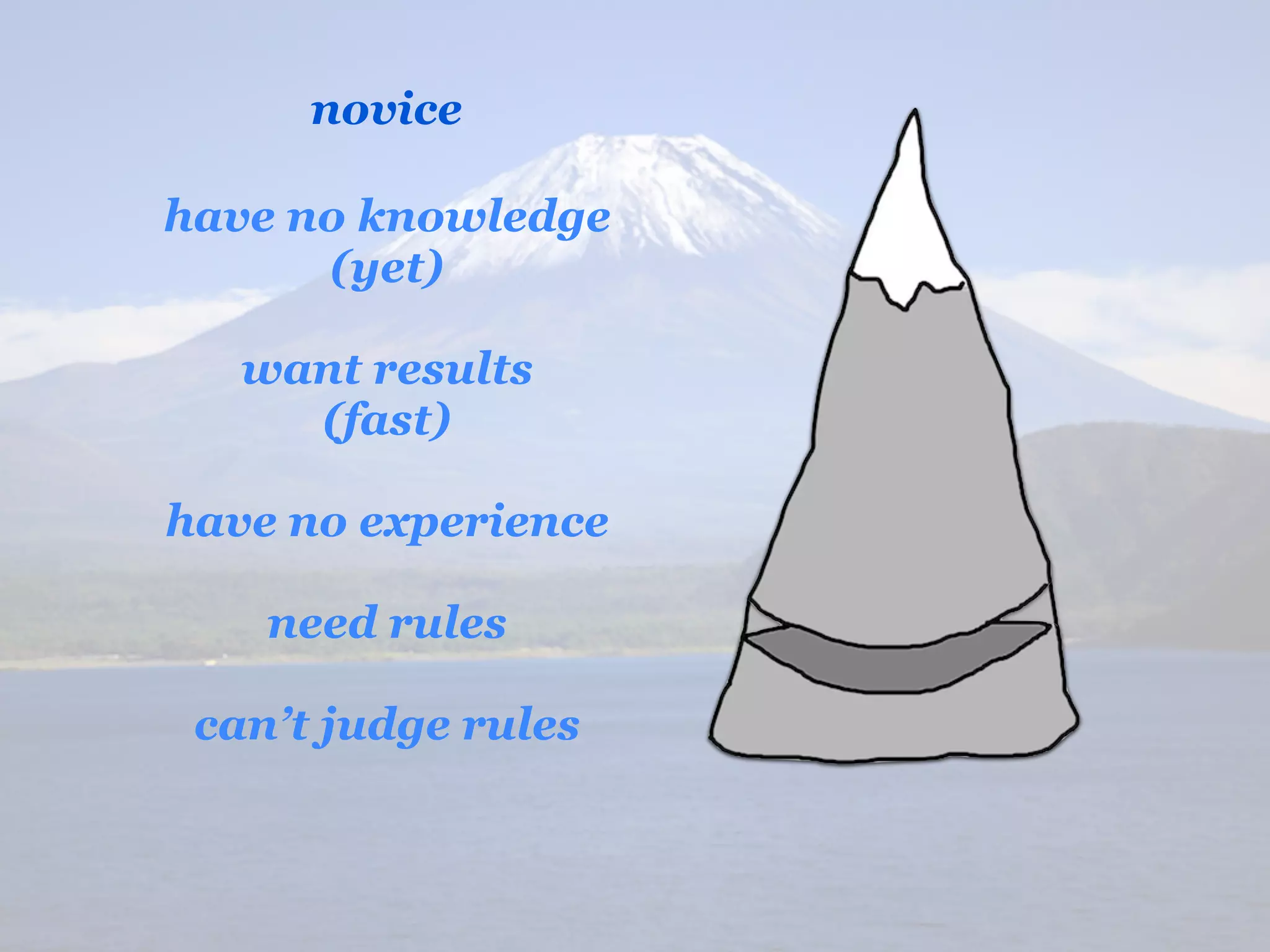 novice

have no knowledge
      (yet)

   want results
     (fast)

have no experience

    need rules

 can’t judge rules
 