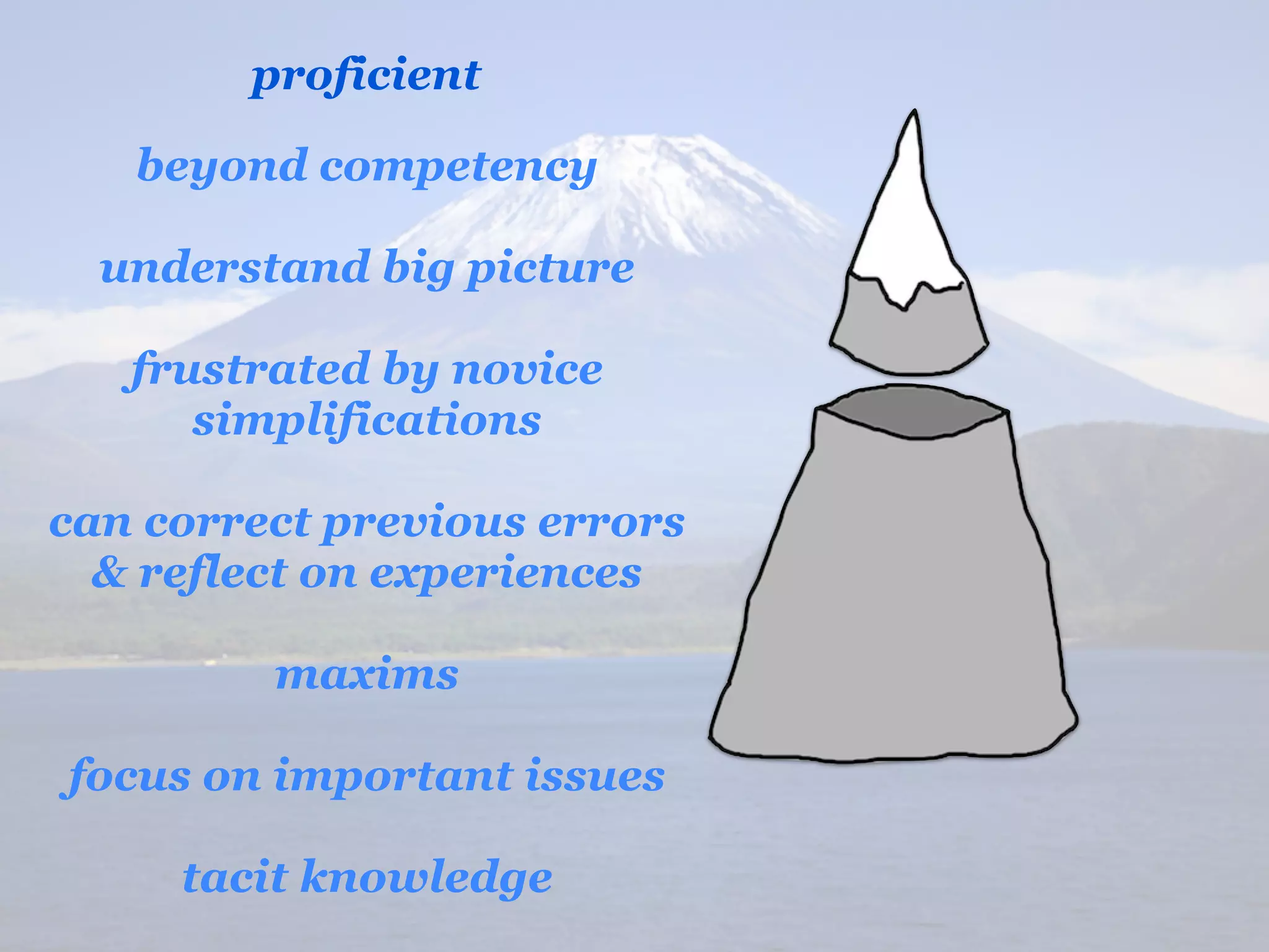 proficient

   beyond competency

  understand big picture

   frustrated by novice
      simplifications

can correct previous errors
  & reflect on experiences

         maxims

focus on important issues

     tacit knowledge
 