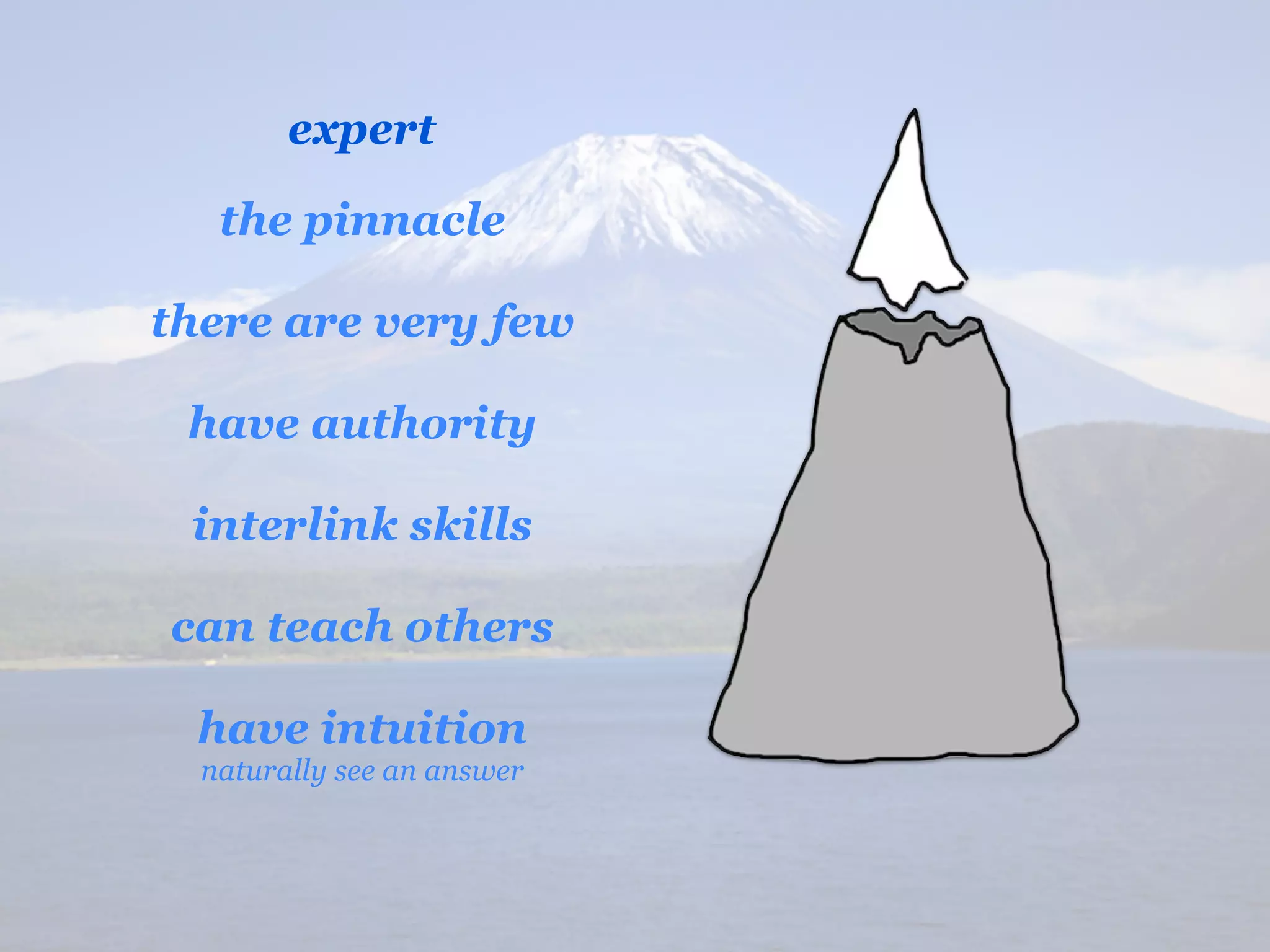 expert

   the pinnacle

there are very few

 have authority

 interlink skills

can teach others

 have intuition
  naturally see an answer
 
