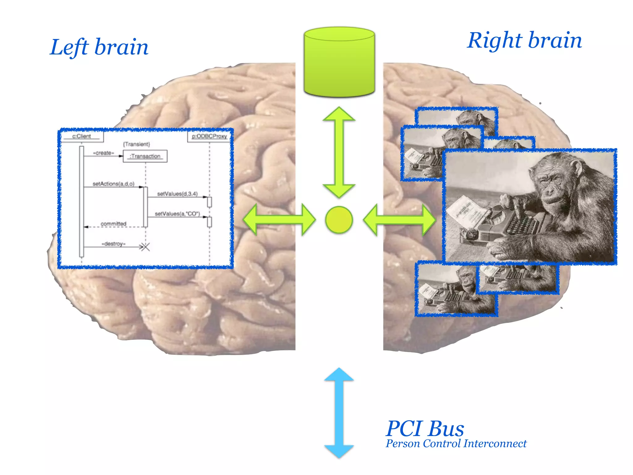 Left brain                Right brain




             PCI Control Interconnect
                    Bus
             Person
 