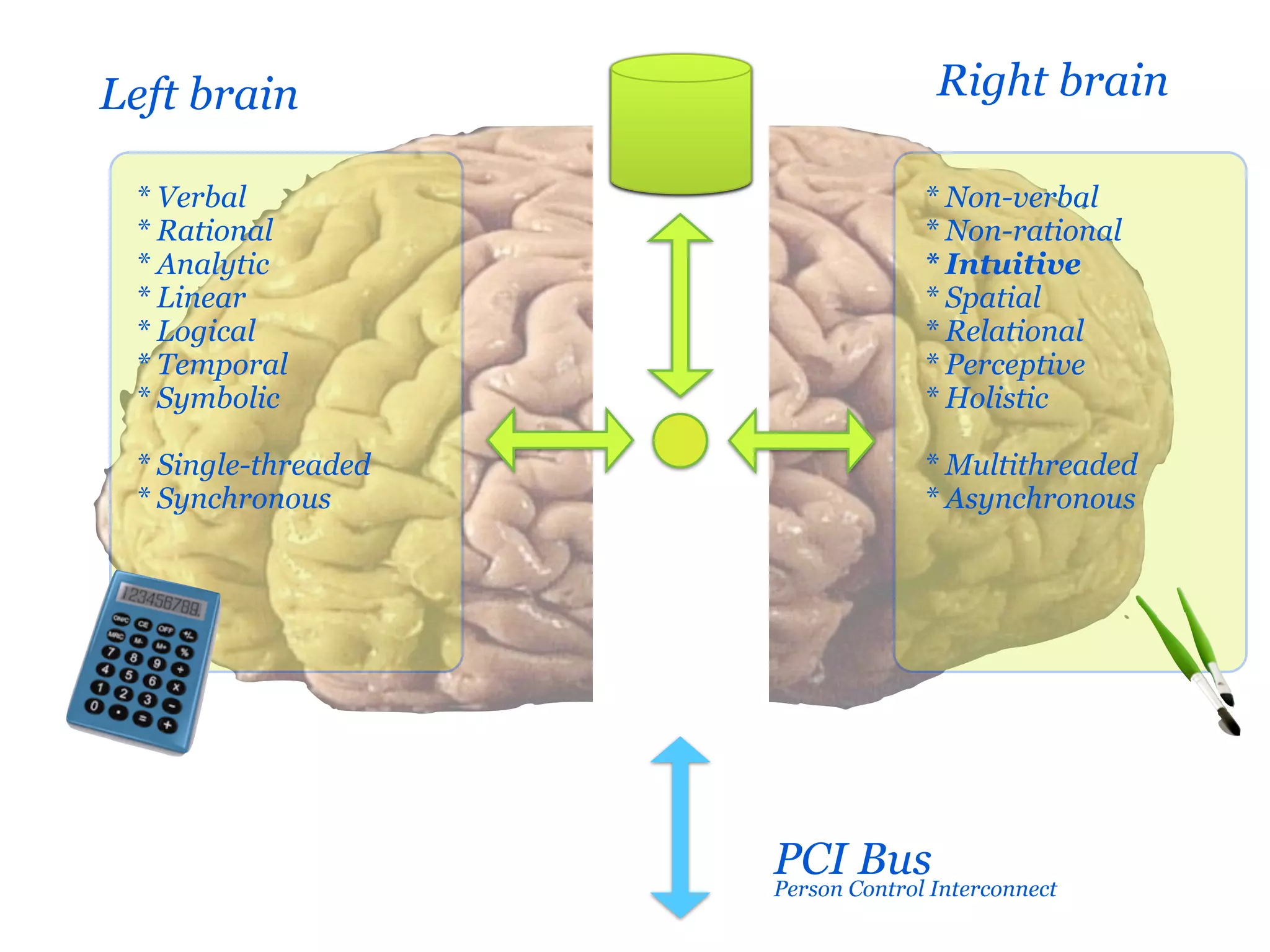 Left brain                        Right brain

 * Verbal                        * Non-verbal
 * Rational                      * Non-rational
 * Analytic                      * Intuitive
 * Linear                        * Spatial
 * Logical                       * Relational
 * Temporal                      * Perceptive
 * Symbolic                      * Holistic

 * Single-threaded               * Multithreaded
 * Synchronous                   * Asynchronous




                     PCI Control Interconnect
                            Bus
                     Person
 