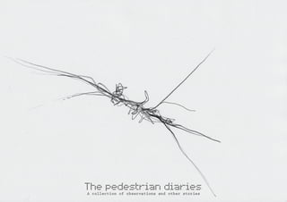 The pedestrian diaries
A collection of observations and other stories
 