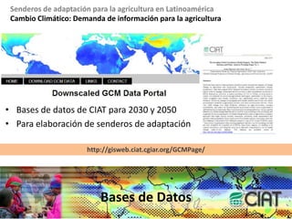Cambio Climático: Demanda de información para la agriculturaModelos GCM : Escenarios