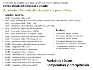 Cambio Climático: Demanda de información para la agriculturaMensaje 2La incertidumbre científico SI es relevante para la agricultura: tenemos que tomar decisiones dentro de un contexto de incertidumbreYDepender de un limitado numero de GCM es peligroso