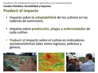 Cambio Climático: Demanda de información para la agriculturaBases de datos de CIAT para 2030 y 2050