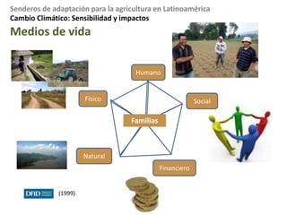 Cambio Climático: Demanda de información para la agriculturaEntonces que hacemos frente todo esto?No hay una sola estrategiagana-ganaNecesitamos múltiplesacercamientos para mejorarla base de informaciónacerca de escenariosde cambio climáticoDesarrollo de RCMs(múltiples: PRECIS NO ES SUFICIENTE)Downscaling empírico, métodos híbridosProbamos diferentes metodologíasSe requiere flujo de información (CCC):compartimos, comparemos, charlamos