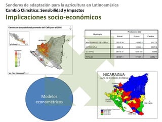 Cambio Climático: Sensibilidad y impactos