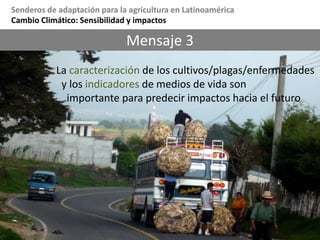 Cambio Climático: Sensibilidad y impactosSensibilidad de los cultivos ante el cambio de climaMaxEnt - Maximum entropy modeling of species geographic distributionsEcoCrop Model
