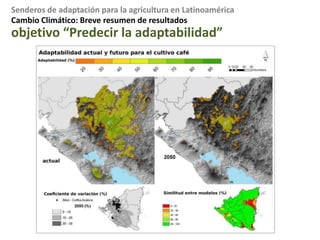 Intervalo de la temperatura absoluta 