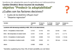 Intervalo de la lluvia optima
