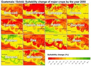 Temperatura congelada del cultivo(cuando muere el cultivo)Variables básicos:Temperatura y precipitación