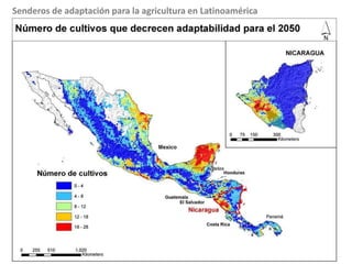 Cambio Climático: Sensibilidad y impactosPredecir el impactoImpacto sobre la adaptabilidad de los cultivos en las cadenas de suministro.Impacto sobre producción, plagas y enfermedades de cada cultivoTraducir el impacto sobre el cultivo en indicadores socioeconómicos tales como ingresos, pobreza y género.
