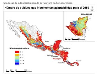 Cambio Climático: Sensibilidad y impactosVulnerabilidadExposiciónGrado en que un sistema está expuesto a variaciones climáticas importantes  (IPCC 2001)VulnerabilidadEs el grado por el cual un sistema es susceptible o incapaz de enfrentarse a efectos adversos del cambio climático (IPCC 2001)SensibilidadEs el grado por el que está afectado un sistema, en sentido perjudicial o beneficioso, por estímulos relacionados con el clima (IPCC 2001)Capacidad de adaptaciónEs la habilidad de un sistema de ajustarse al cambio climático  (IPCC 2001)