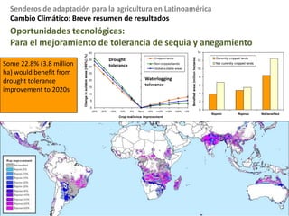 Cambio Climático: Sensibilidad y impactosMensaje 3     La caracterización de los cultivos/plagas/enfermedades       y los indicadores de medios de vida son         importante para predecir impactos hacia el futuro