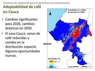 Cambio Climático: Análisis sectoriales para ColombiaUn sector con mucho cultivo permanente