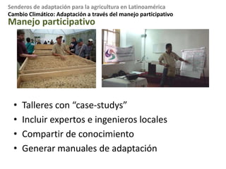 Conclusiones preliminaresCultivos permanentes (66.4% del PIB de 2007) seriamente afectados: y son cultivos de inversiones de largo plazo