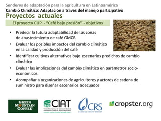 Tema de seguridad alimentaria, y pobreza: muchas de los cultivos afectados son de agricultores pequeños