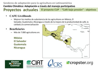 Claras prioridades nacionales (por ejemplo. Costa Caribe, cultivos específicos)