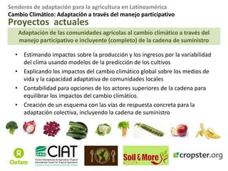 Prioridades locales: enfoque hacia seguridad alimentarioCambio Climático: Análisis sectoriales para Colombia