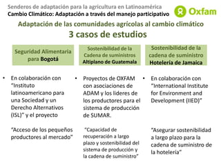 Mensaje 4Hay retos y oportunidades: el país debería tener una estrategia para enfrentar ambos