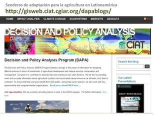 Un Ejemplo mas localEl susto de café en Cauca