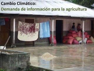 Nuestros temas son:Output 1: evaluación de impacto para la focalización, documentación e incremento de la efectividad en la investigación y el desarrollo.Output 2:   orientación de políticas, herramientas e innovación para gestión de servicios ecosistémicos en pro del beneficio de la población rural.Output 3:  estimación de impactos del cambio climático sobre los sistemas agrícolas e identificación de caminos de adaptación para las poblaciones rurales.Output 4:  orientación de políticas e innovaciones para asegurar  cadenasequitativas de suministro a favor de los pobres para enfrentar las altas dinámicas del mundo.