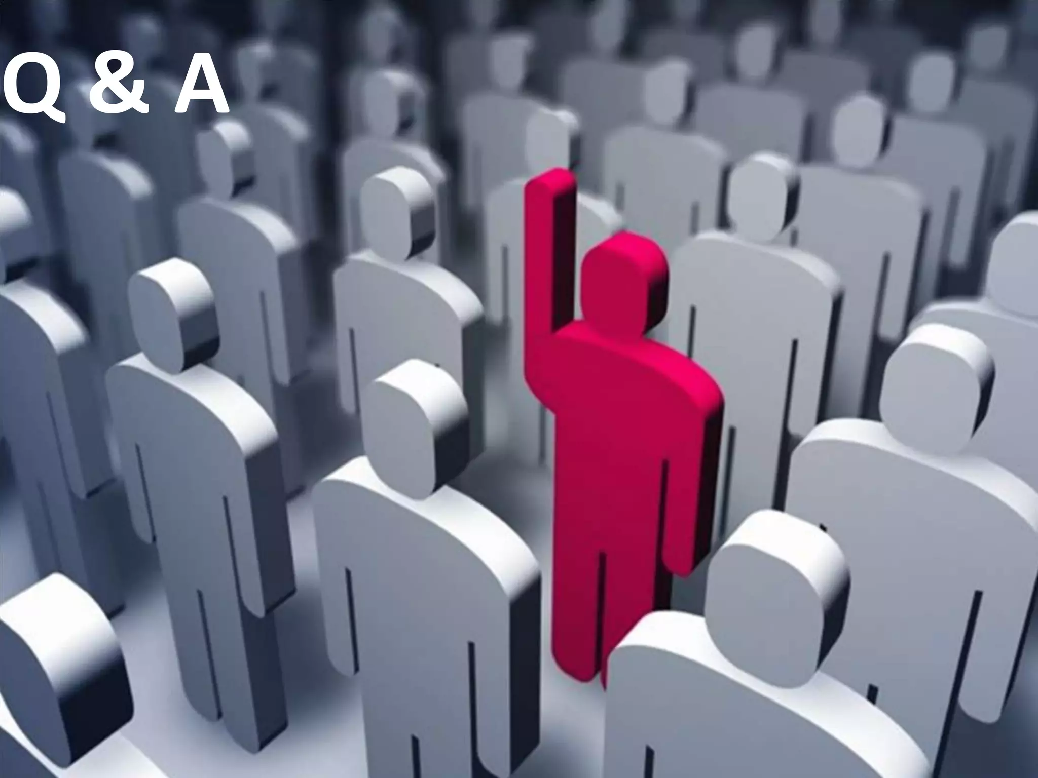 Q&A
 