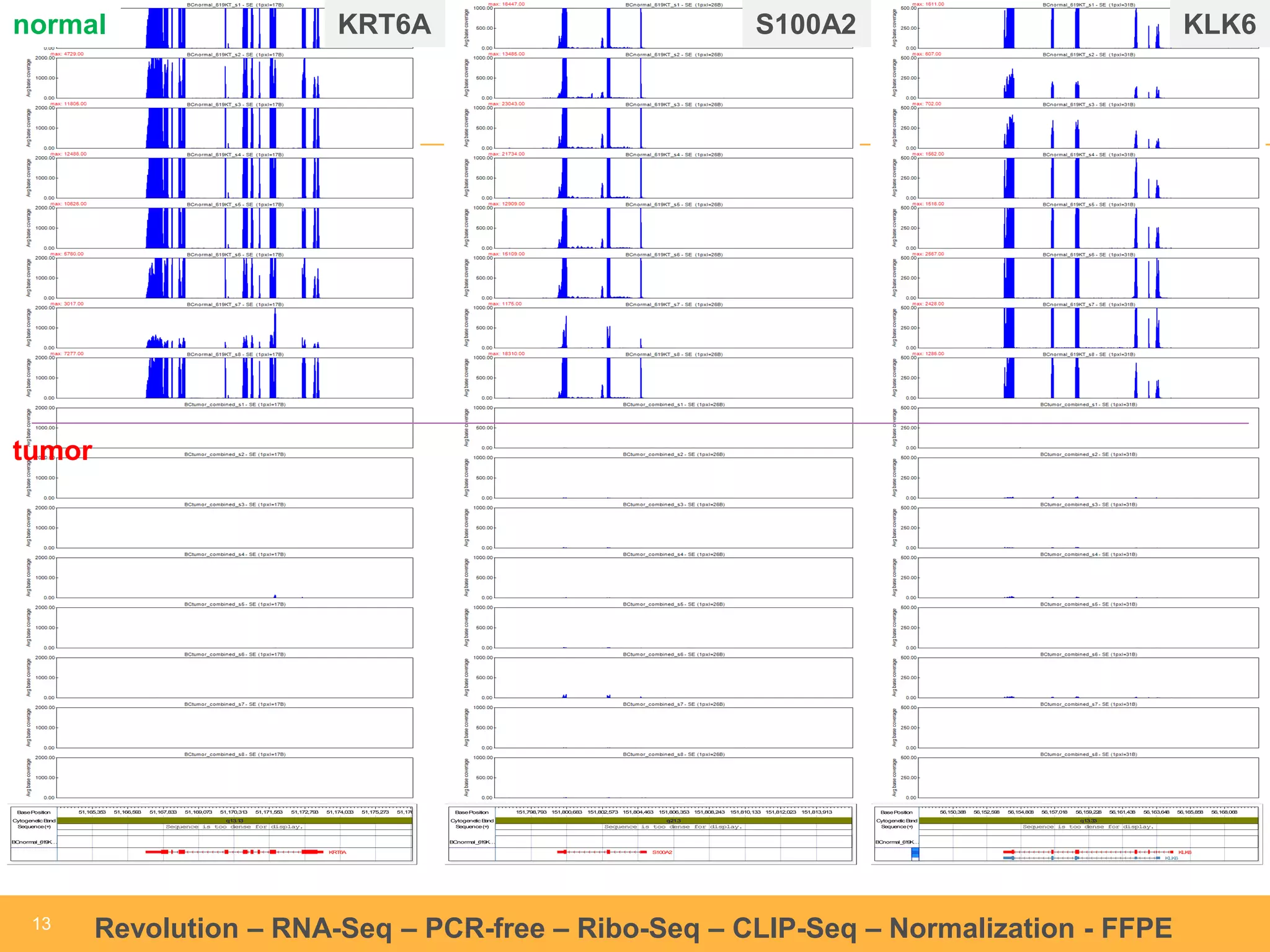 1133 Revolution – RNA-Seq – PCR-free – Ribo-Seq – CLIP-Seq – Normalization - FFPE 
Base Position 51,165,353 51,166,593 51,167,833 51,169,073 51,170,313 51,171,553 51,172,793 51,174,033 51,175,273 51,176,513 
Cytogenetic Band q13.13 
Sequence (+) Sequence is too dense for display. 
BCnormal_619K… 
KRT6A 
Base Position 151,798,793 151,800,683 151,802,573 151,804,463 151,806,353 151,808,243 151,810,133 151,812,023 151,813,913 
Cytogenetic Band q21.3 
Sequence (+) Sequence is too dense for display. 
BCnormal_619K… 
S100A2 
Base Position 56,150,388 56,152,598 56,154,808 56,157,018 56,159,228 56,161,438 56,163,648 56,165,858 56,168,068 
Cytogenetic Band q13.33 
Sequence (+) Sequence is too dense for display. 
BCnormal_619K… 
KLK6 
KLK6 
normal 
tumor 
KRT6A S100A2 KLK6 
 