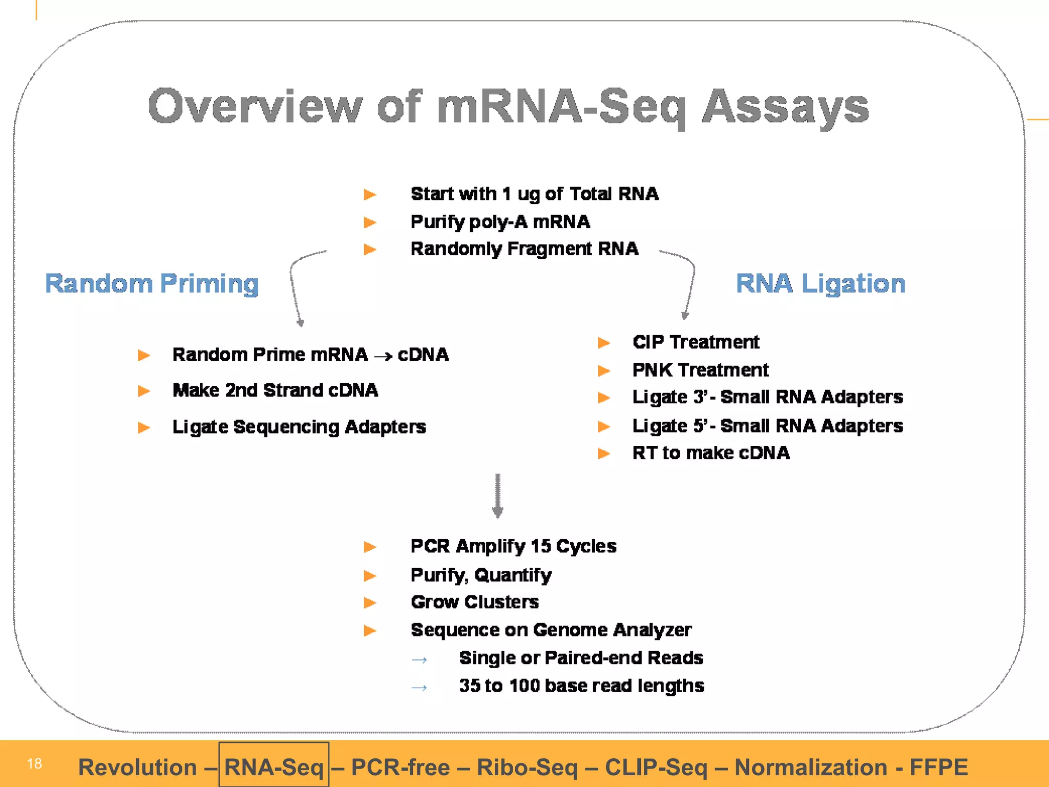 18 
18 
Revolution –RNA-Seq–PCR-free –Ribo-Seq–CLIP-Seq–Normalization -FFPE 
mRNA-Seq  